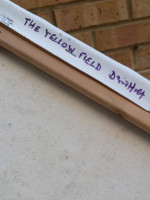 The Yellow Field by David Holt (2009)