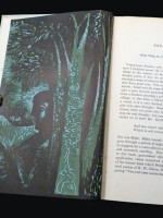 Visionary Poems and Passages, or The Poet's Eye (1944, first edition)