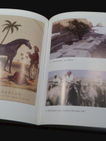 Unshook Till the End of Time (2012, first edition)