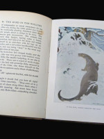 The Wind in the Willows (1913, first illustrated edition)